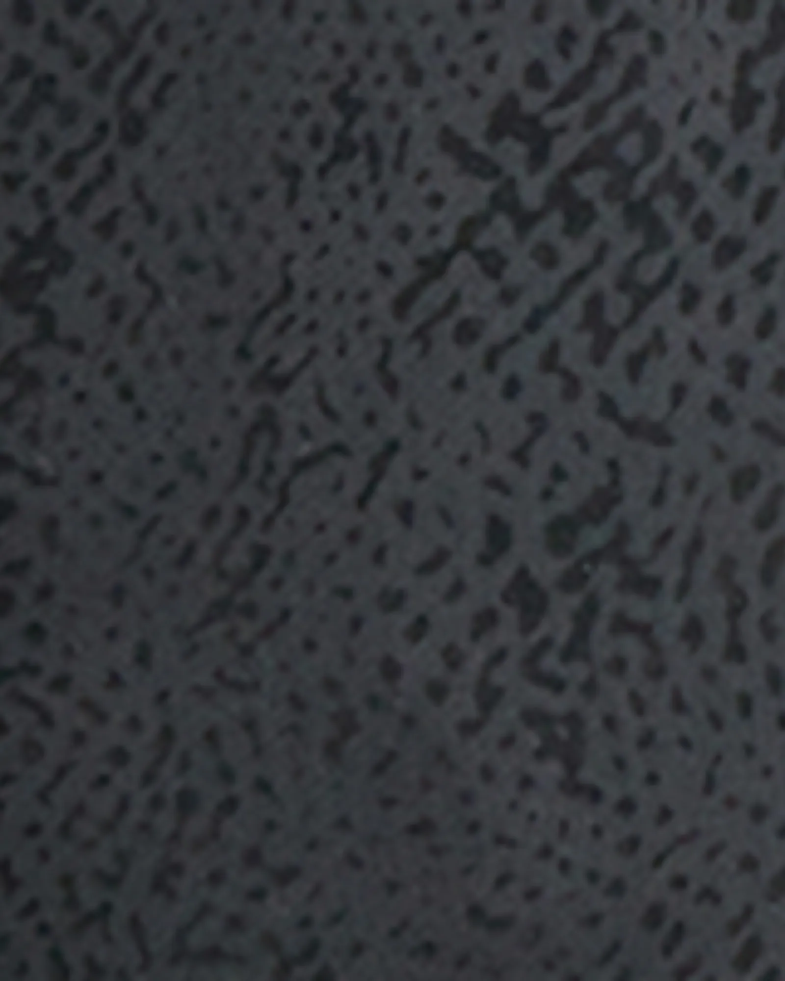 Tatiana Snake Print Jogger | Black